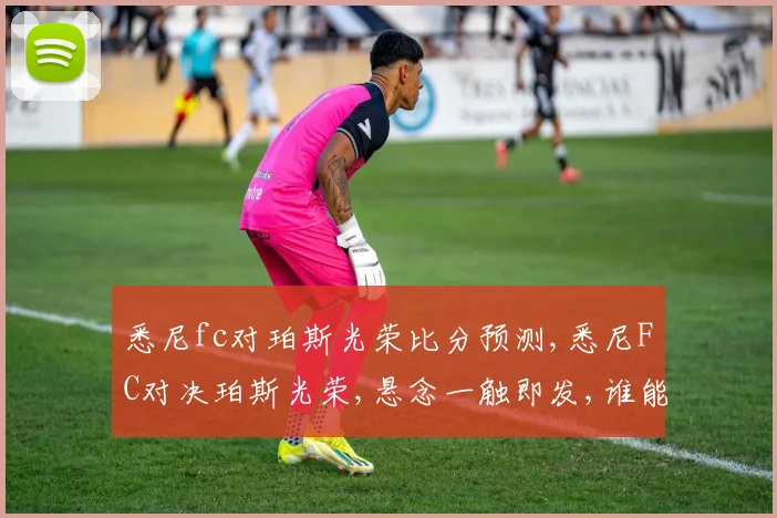 悉尼fc对珀斯光荣比分预测,悉尼FC对决珀斯光荣,悬念一触即发,谁能问鼎