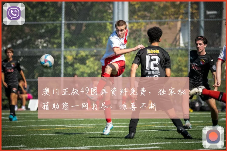 澳门正版49图库资料免费，独家秘籍助您一网打尽，惊喜不断