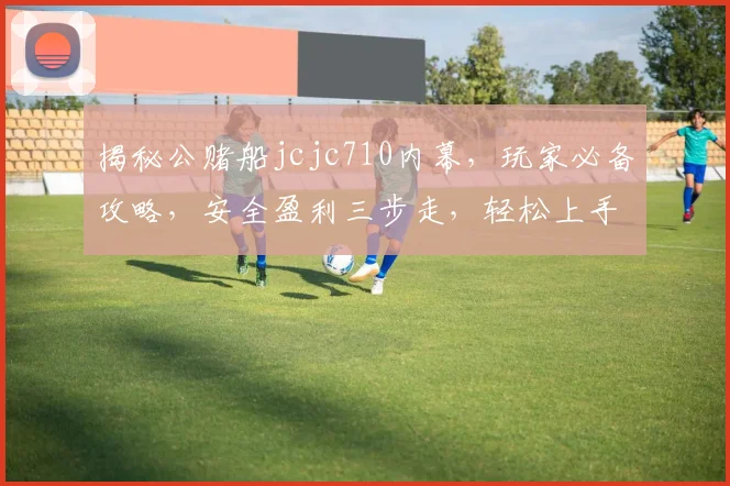 揭秘公赌船jcjc710内幕，玩家必备攻略，安全盈利三步走，轻松上手逗你玩