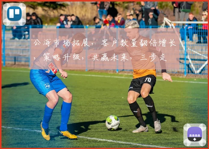 公海市场拓展，客户数量翻倍增长，策略升级，共赢未来，三步走